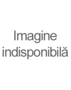 Capacitori si diode